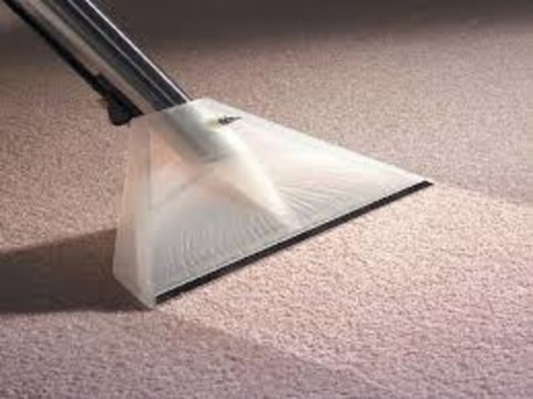 carpet steam cleaner